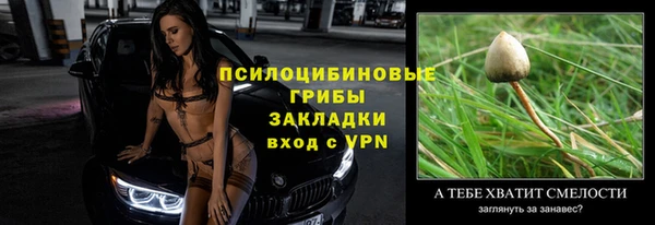 прущие грибы Нефтегорск