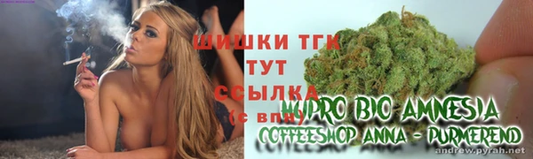 прущие грибы Нефтегорск
