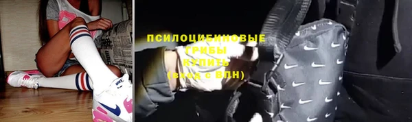 сатива Нея