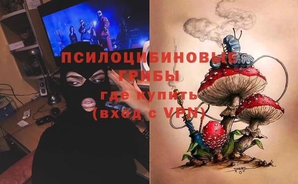 бутират Щигры
