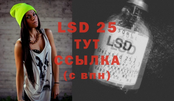прущие грибы Нефтегорск