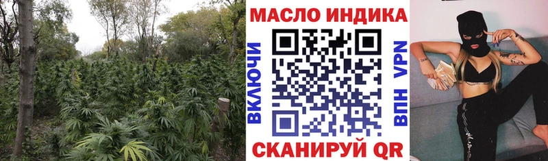как найти   Мензелинск  Дистиллят ТГК гашишное масло 
